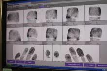 finger prints